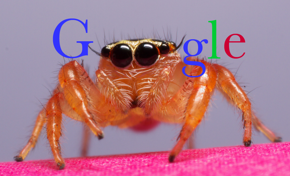 Spiders on the Web: A brief guide on the inner workings of search engines
